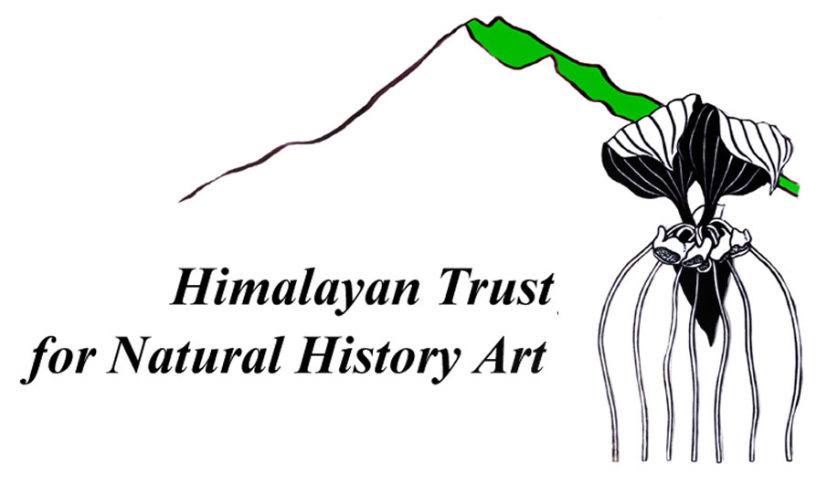 Himalayan Trust for Natural History Art