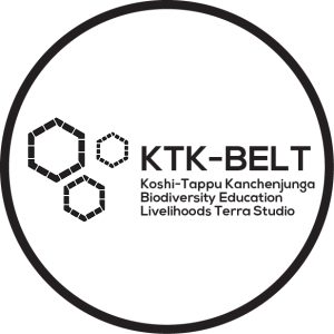KTK-BELT