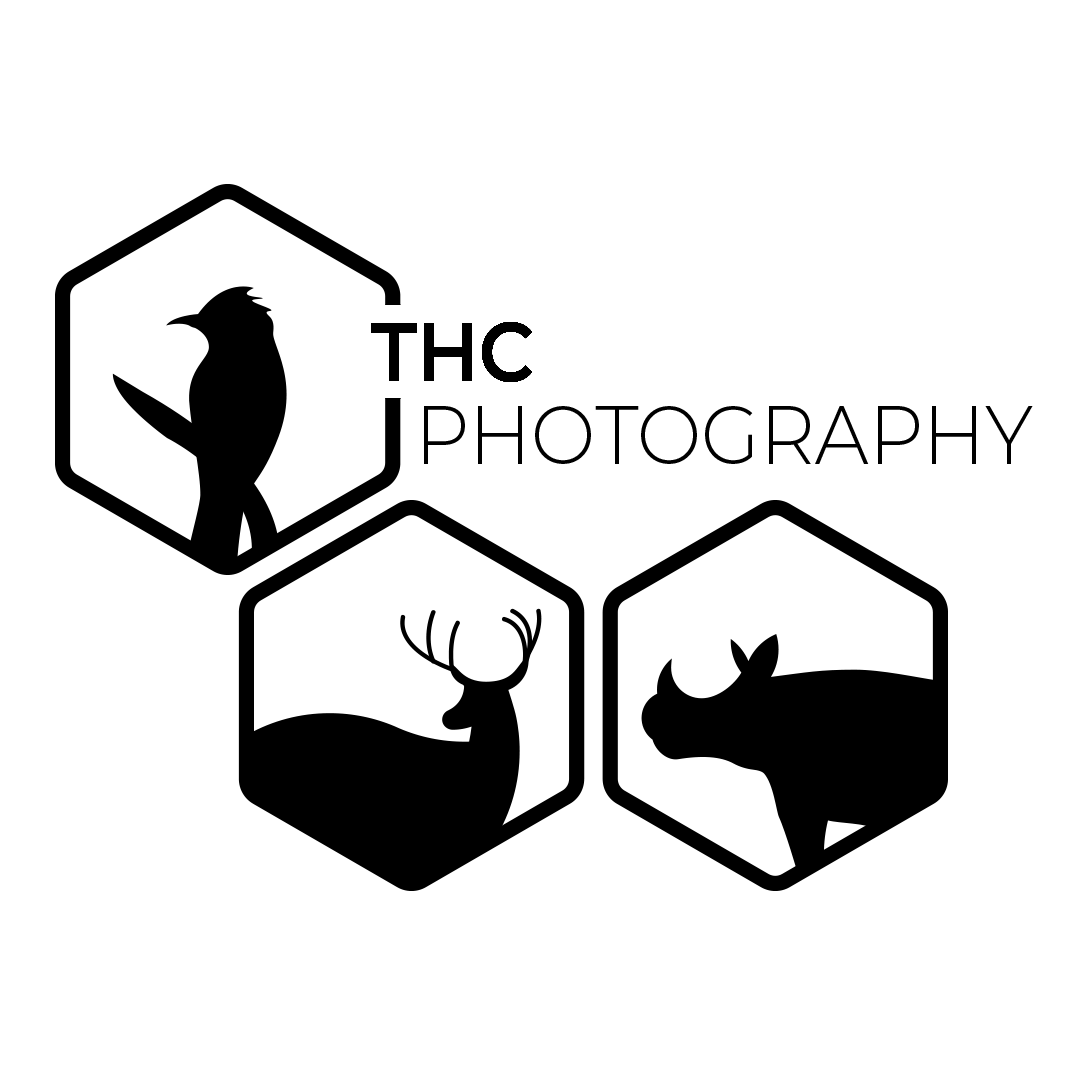 THC-png-THC-Photography