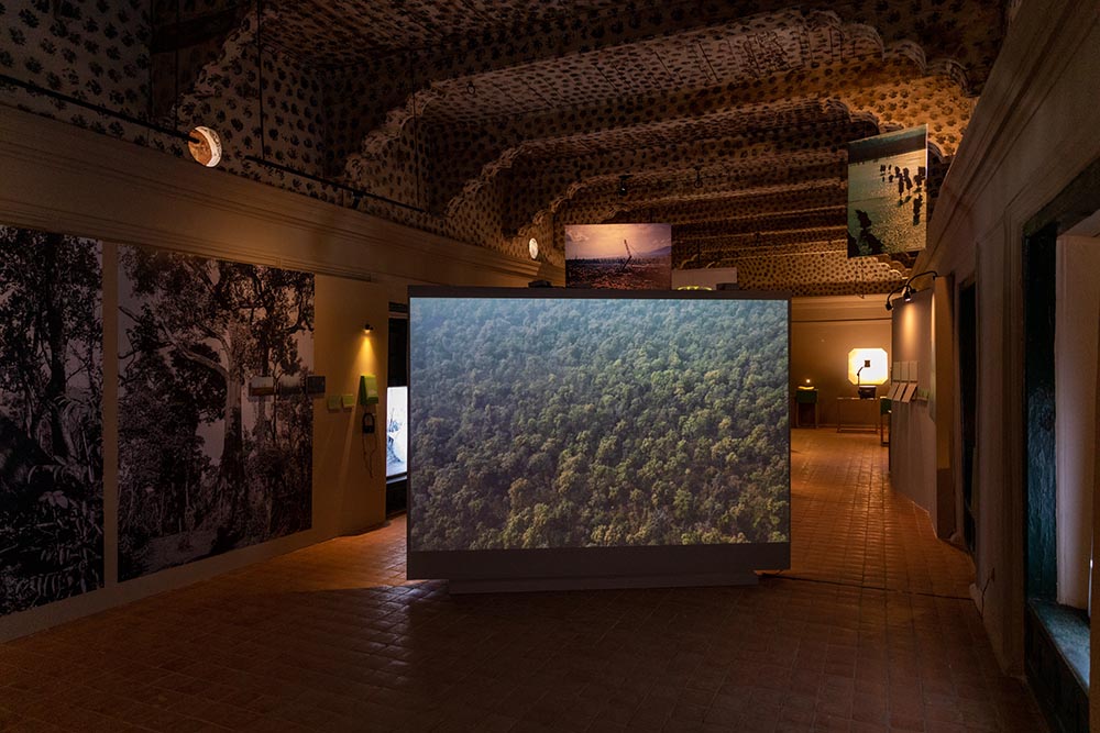 Exhibitions