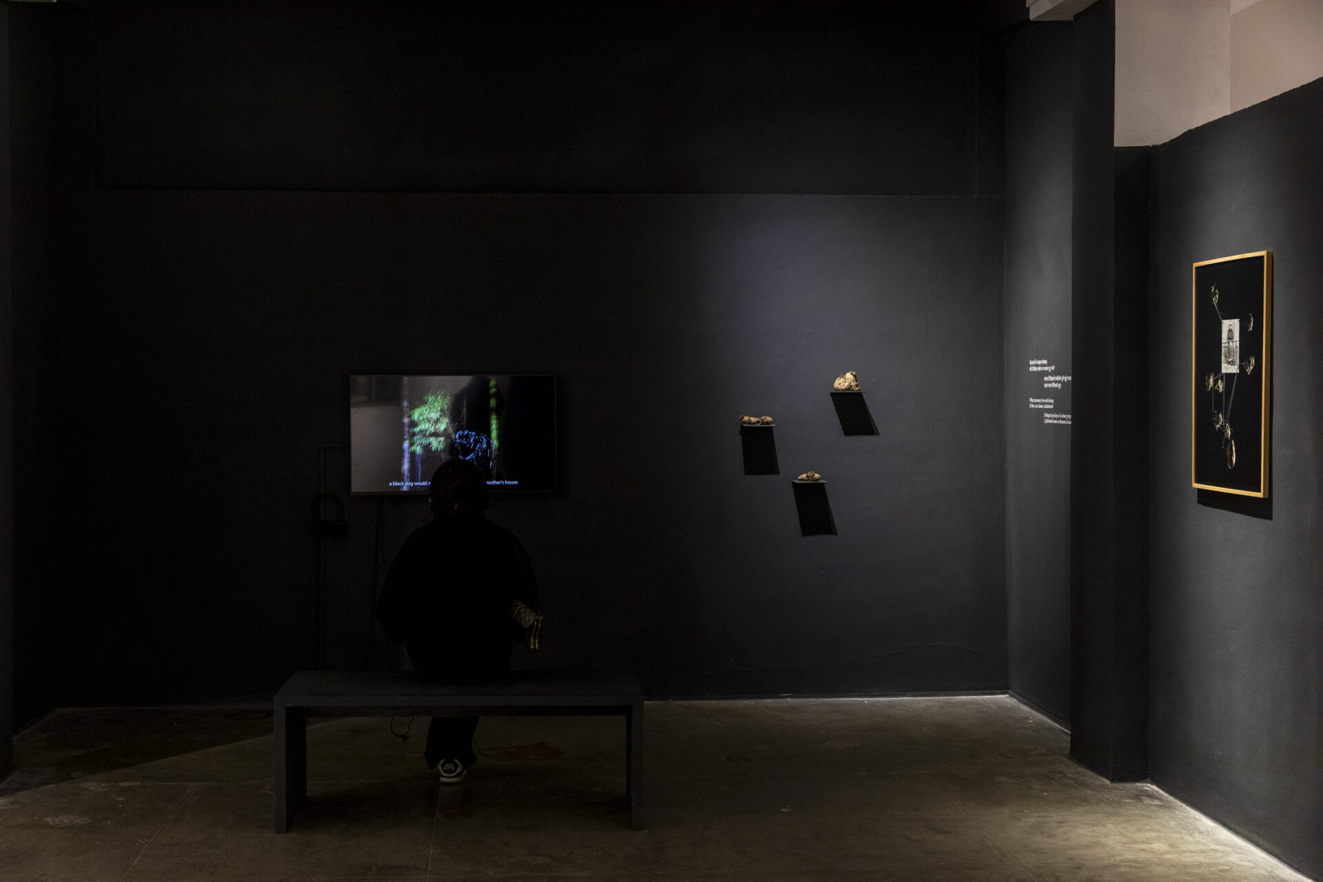 IMG_0722
